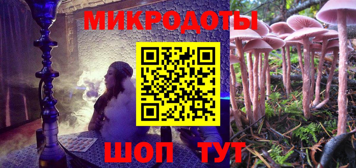 Псилоцибиновые грибы Psilocybe  Вход с VPN  Ахтубинск 