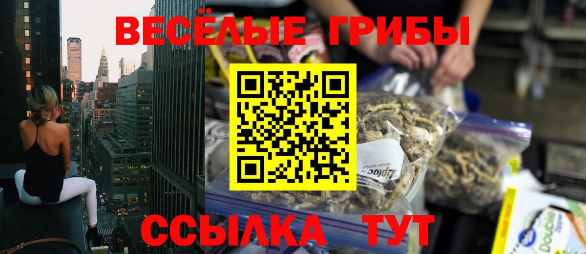Псилоцибиновые грибы мицелий Ахтубинск